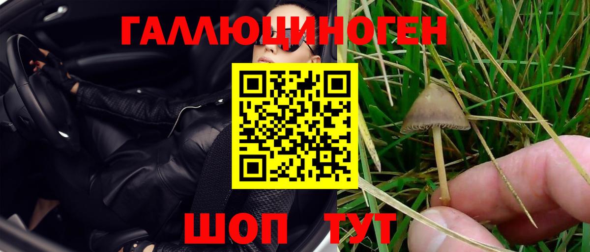 Галлюциногенные грибы Magic Shrooms Калининград